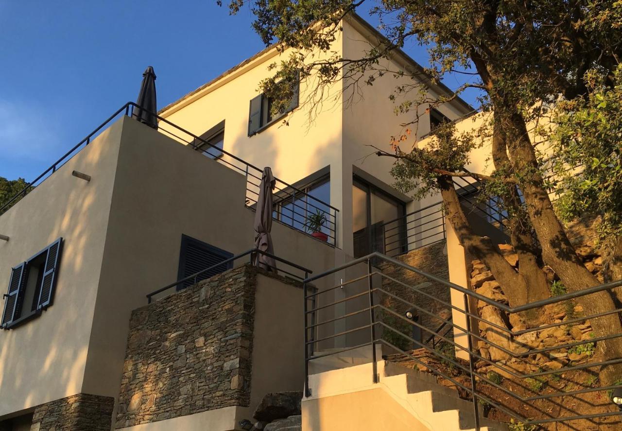 A Casa Di Campa Villa Oletta Kültér fotó