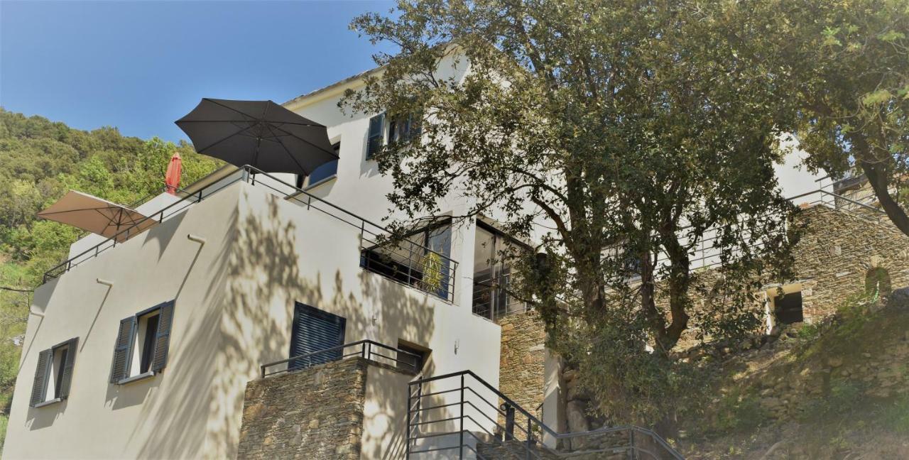 A Casa Di Campa Villa Oletta Kültér fotó
